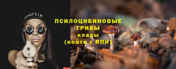 прущий лед Костерёво