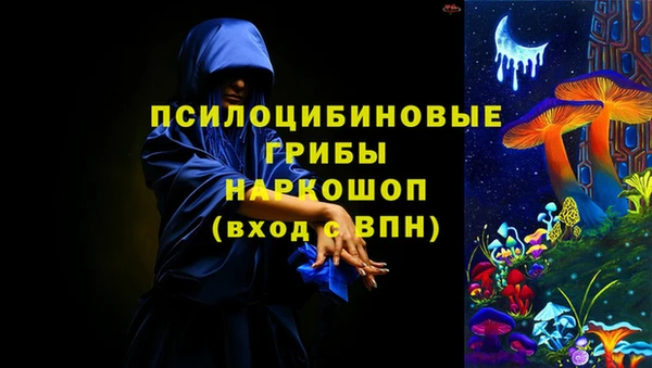 прущий лед Костерёво