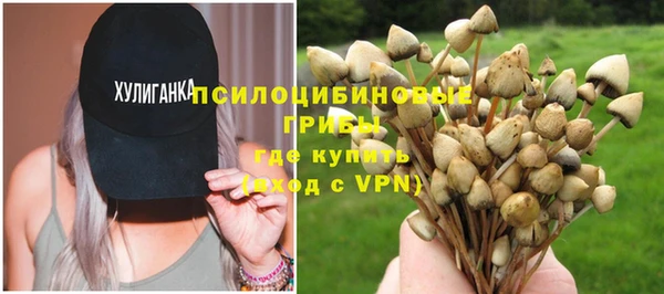 mdpv Коряжма