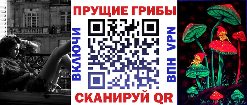 Купить  Задонск  Псилоцибиновые грибы Cubensis 